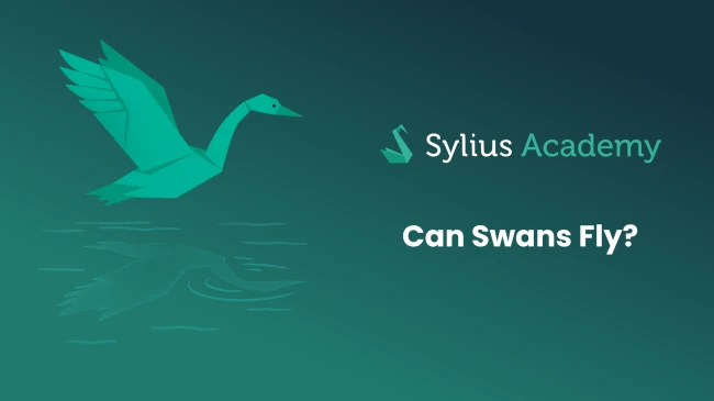 Can Swans Fly?